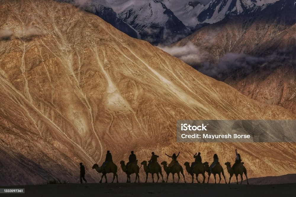 【招聘】春暖花开，“职”等你来！华象2026春季招聘开始了！